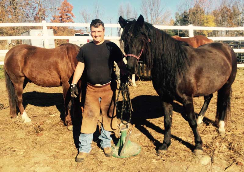 Farrier services, horses shoeing, natural balance hoofs