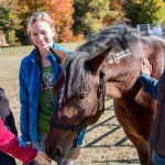 Horsemanship Camp